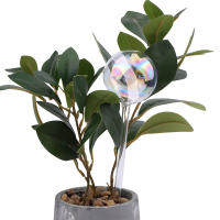 Bulbo De Riego Automático Para Plantas 1/2Pcs Sistema De Riego Por Drip En Bola De Vidrio Dispositivo De Riego Para Jardín Y Flores - details 3