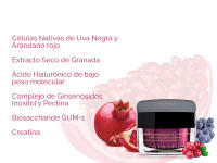 Atashi Antioxidante Crema Hidratante Regenerante SPF 15 | Piel Protegida, Suave, Hidratada y Elástica | Con Ácido Hialurónico y Antioxidantes | Hipoalergénica | Todo Tipo De Piel | 50 ml - details 1