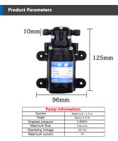 Bomba De Agua Eléctrica Diáfragma DP-521 12V 220V 70PSI 3.5L/min Para Lavar Coches Y Agricultura Resistente Y De Alta Presión - details 0