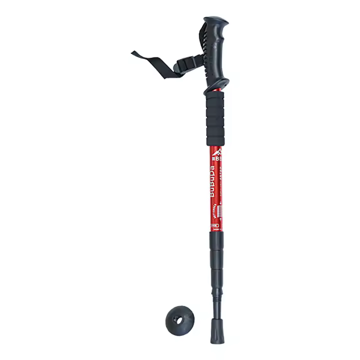 BASTON DE TREKKING BBD 1.0 -UNIDAD-UNICA - 1