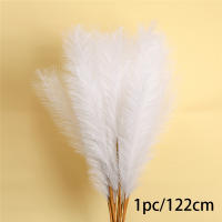 1Pcs Decoración De Pampas Falsa Pluma De Grama Artificial Phragmites Australis Decoraciones De Vaso Plantas Falsas De Juncos Eterna Flor Silken Para Adornos Del Hogar - details 2