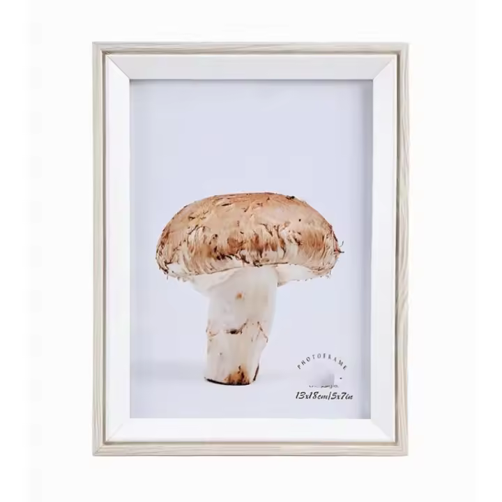 Portafotos Decorativo | Ideal para Regalo o Decorar tu Espacio REF391 - 1