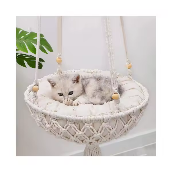 Hamaca Colgante para mascotas, Cama para Gatos, Antena, Marco de Escalada para gatitos, para Ventana Nest-40 cm - 1