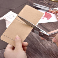 Tijeras De Costura Profesional Vintage Para Telas Y Ropa Herramienta De DIY Cortador De Algodón Acero Inoxidable - details 9