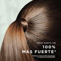 Pantene Pro-V Miracles Crecimiento con Fuerza Champú Fortificante Para Pelo Seco y Dañado con Biotina y Proteínas. Reduce la Caída del Pelo por Rotura para que Crezca Largo y Fuerte. 3 Unidades de 500ML - details 2