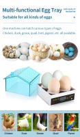 Incubador Mini Para 4 Huevos Automático De Temperatura Constante Apto Para Hincar Huevos De Pollos Pato Tortuga Y Pájaros - details 5