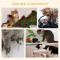PawHut Árbol Rascador para Gatos Pequeños de 57 cm Torre para Gatos con Poste de Yute Rampa para Rascar Cama y Bola Colgante 40x40x57 cm - details 5