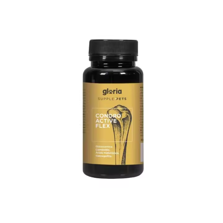 GLORIA - Supple Pets - Condro Active Flex (60 Comprimidos) - Alimento Complementario Natural para las Articulaciones en Perros de Razas Medianas y Grandes - 1
