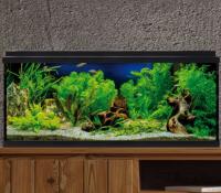 Ica Kit AQUA LED 100 con Filtro Interior - Acuario Negro 44,2x30,5x79,7cm - details 0