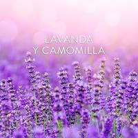 Air Wick Eléctrico - Pack de 3 Recambios de Ambientador para casa con aroma a Lavanda - details 5