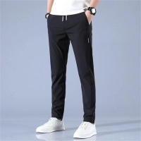 Pantalones Casuales Para Hombre De Seda Con Hielo 2024 Verano Negro Gris Delgados Negocios Casual Pantalones Rectos Elásticos Transpirables Para Exteriores - details 7