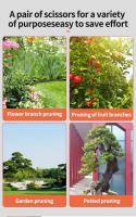 Tijeras De Jardín Airaj Antideslizantes Y Labor-Saving Para Ramas De Flores Y Frutas Con Hojas De Acero Inoxidable Y Mango De Goma - details 0