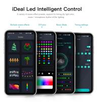 Cadena De Luces LED RGBIC 5M USB 5V Con Bluetooth Y APP De Música Programable DIY Luces De Fairy Para Cumpleaños Y Decoración De Navidad - details 4