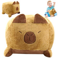 EasySpeed Peluche Capibara, Forma Cuadrada 45x45 CM, Peluche Capybara para Niños y Niñas Carpincho Kapibara Ideal Regalo o uso Cojin o Almohada Infantil - details 1