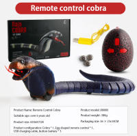 Juguete Remoto De Serpiente Infrarrojo Simulación Extraño Para Niños Reptil Inducción Escarabajo Mecánico Control Remoto - details 2