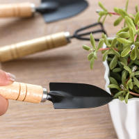 Juego De 3 Herramientas De Jardinería Premium Para Cultivar Verduras Flores Y Suculentas En Macetas Incluye Shovel Rake Y Spade - details 4