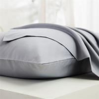 Funda De Almohada Rectangular De 1 Pieza En Color Sólido Tamaño 20x30 Pulgadas (50x76 Cm) Brown/Blue/Grey/Pink Para Ropa De Cama - details 6
