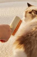 Peine De Masaje Con Vapor Para Mascotas Adecuado Para Gatos Y Perros Limpiador De Pelo Especial Para El Baño De Los Animales Sumérgete En El Manto De Pelo Con Nuestro Peine Único - details 8