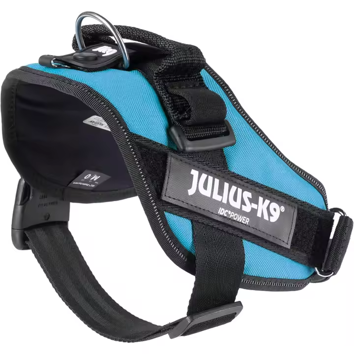 Arnes para Perros JULIUS-K9 16IDC Power Color Agua marina - 1