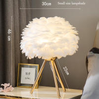 Lámpara De Mesa Para Dormitorio Con Plumas De Ganso Luz Decorativa Para Sala De Estar Y Café Romántica Para Boda Y Navidad Fuente De Iluminación LED Sin Baterías Fuente De Alimentación AC - details 0