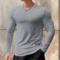 Camiseta Deportiva De Hombre 2024 Nueva Primavera Otoño Secado Rápido Camisa Manga Larga Para Gimnasio Y Correr Tops Ajustados - details 8