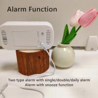 Reloj De Alarma Digital USB Potenciado Con Temperatura Fecha Doble Alarma Modo Nocturno Snooze Niveles De Brillo 5 12/24H LED Reloj - details 6