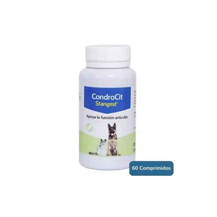 STANGEST - Condrocit - Alimento Complementario Condroprotector para la Salud Articular en Perros y Gatos - 1