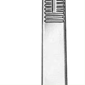 Corysan Mango - N3 Blister - Accesorios para la Salud - 1
