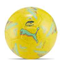 Banner - Puma balon liga F 084249 02