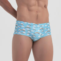 Traje De Baño Para Hombre Bikini Surfeo Shorts Boxer Estilo Tradicional Arco Iris Sexy Ropa Deportiva Para La Playa Y Piscina - details 3