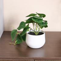 1PC Simulada Planta En Maceta Para Decoración De Oficina Negocios Foyer Jardín Floral Decoración De Hogar Estilo Vínculo - details 6