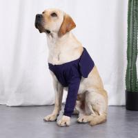 Pattinillas Para Perros Soporte De Rodilla Con Envolvente De Rodilla Antiladridos Protector De Lesiones Músculos Y Articulaciones Frontales Material Algodón Transpirable - details 5