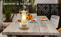 Lanterna De Camping Retro VN Recargable Y Dimmer LED Impermeable Y Batería Potenciada Luz De Camping Vintage Con Fuente De Alimentación DRY BATTERY - details 9