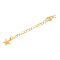 10 Pcs Cadena De Acero Inoxidable Con Hebilla De Cangrejo Y Pendiente De Estrella Hueca Para DIY Pulsera Y Collar Único Y Bonito - details 2