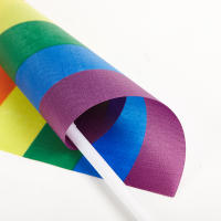 10PCS Banderas Arcoíris Pequeñas Y Fáciles De Sostener Para Festival Y Desfile De Orgullo Gay Material Plástico - details 4