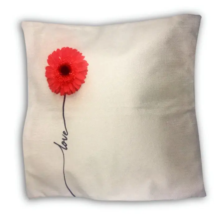 COJIN AMIKO CON CREMALLERA MODELO INDY 42X42 CMS - 1