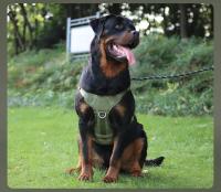 Correa Táctica Para Perros Grandes Con Cremallera Retráctil Y Correa De Hombro Gran Capacity Para Pitbull Accesorios Para Perros - details 6