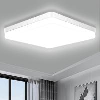 Lámpara De Techo Moderna IRALAN Fácil Instalación Ahorro De Energía Acrílico Decoración Para Cocina Pasillo Hogar - details 0