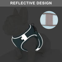 Harnés De Nylon Para Perros Y Gatos Pequeños Y Medianos Conjunto De Correa Reflector Y Harnés De Malla Para Verano Ajustable Para Chihuahua - details 6