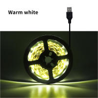 Tira De Luces LED Flexibles USB DC5V SMD 3528 Para Decoración De Habitaciones Cocinas Armarios Luz De Fondo De TV Iluminación Nocturna - details 8