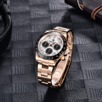 Reloj De Pulsera De Cuarzo PAGANI DESIGN PD-1644 2024 Meteorito Dial Moda Para Hombre Cristal De Esmeralda 100M Cronógrafo - details 9