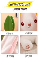 Muñeco De Peluche Transformable En Fresa Y Conejo De Zanahoria 25CM Juguete Suave Regalo Ideal Para Niños Y Adultos - details 12
