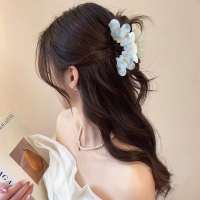 Pinza De Pelo Elegante Y Moderna De Acrílico 1 Pieza Con Diseño De Pétalos Y Cierre Parcial Claw Shark Accesorio Para Mujer - details 2