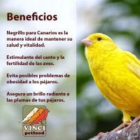 Vinci, Negrillo para Canarios, Jilgueros y Otras Aves Similares, 1kg, 4kg, 20kg, 25kg - details 0