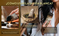 MUT22 5 Atados de Salvia Blanca con Cedro: Rituales Energéticos y Purificación Profunda para la Armonía Espiritual - details 2