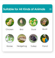 Calefactor Inteligente Para Pájaros Pequeño Con Placa De Calentamiento Seguro Control De Temperatura Para Pollos Accesorio De Jaula Para Mascotas - details 9
