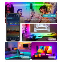 Luces Neón RGBIC Fita LED Con Sincronización De Música Bluetooth Luces LED Para TV Decorativas Inteligentes ZENGGE APP Luminoso Y Impermeable Para Dormitorio - details 15