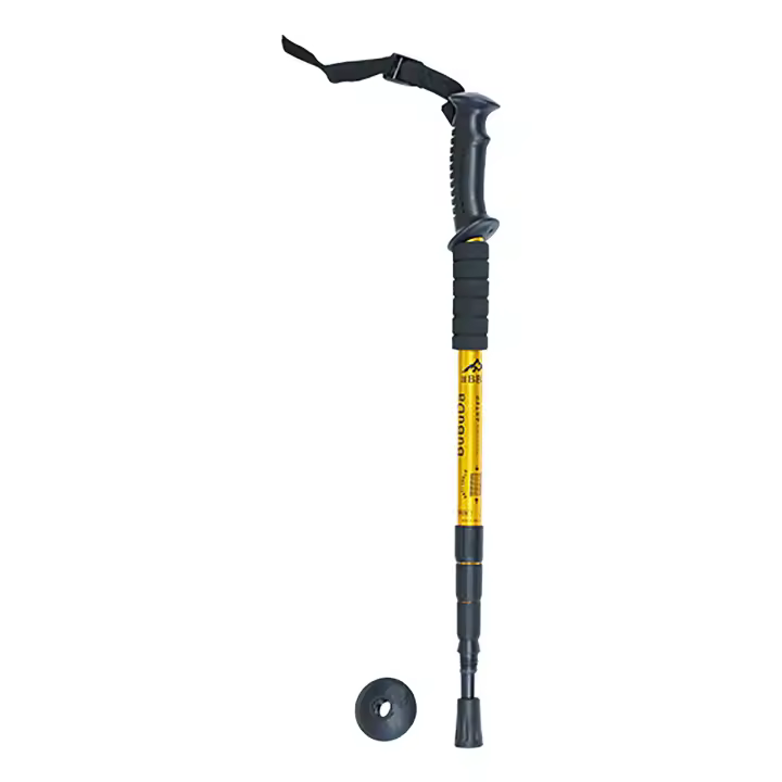 BASTON DE TREKKING BBD 1.0 -UNIDAD-UNICA - 1