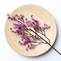 Kahaul 51cm Flores Artificiales De Brezo Para Decoración De Bodas Y Hogar Rama De Gypsophila Para Arreglo De Vaso De Sala De Estar - details 5