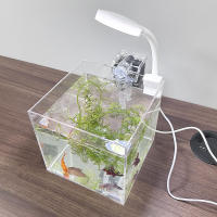 Acuario Ecológico De Acrílico Transparente Para Escritorio De Oficina Pequeño Tanque De Agua Con Hierba Para Camarones Y Tortugas - details 6